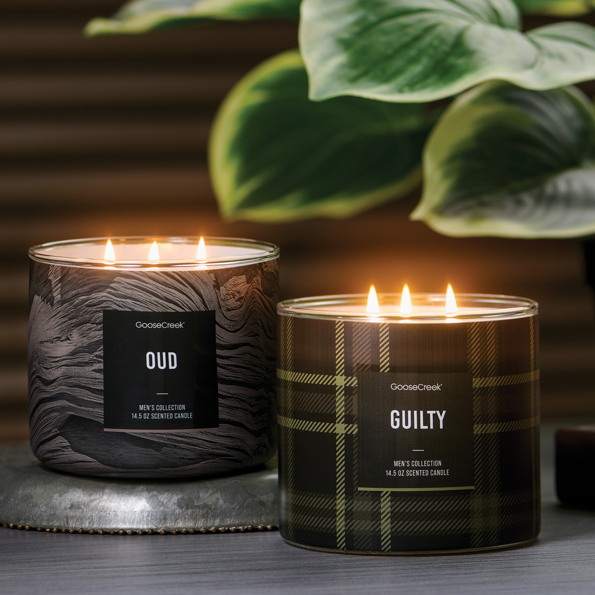 Fragrance That Feels Like Home